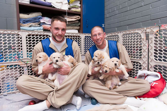 ICAN trainers enjoy puppy cuddles while taking care of a new litter.