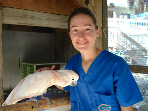 Caitlin Moll poses with a cockatoo at the Save Our Seabirds Wild Bird Learning Center in Sarasota, Florida. 